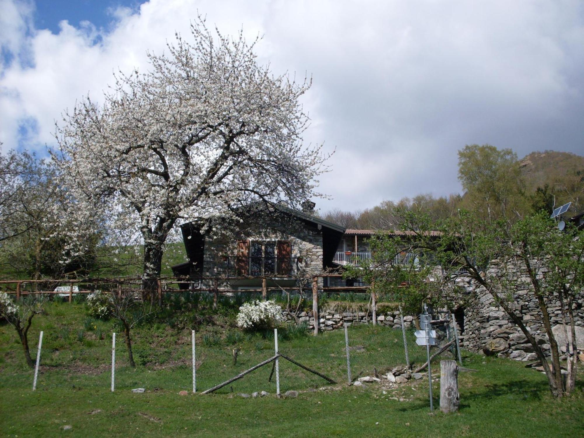 Agriturismo Da Attilio Cannobio Luaran gambar