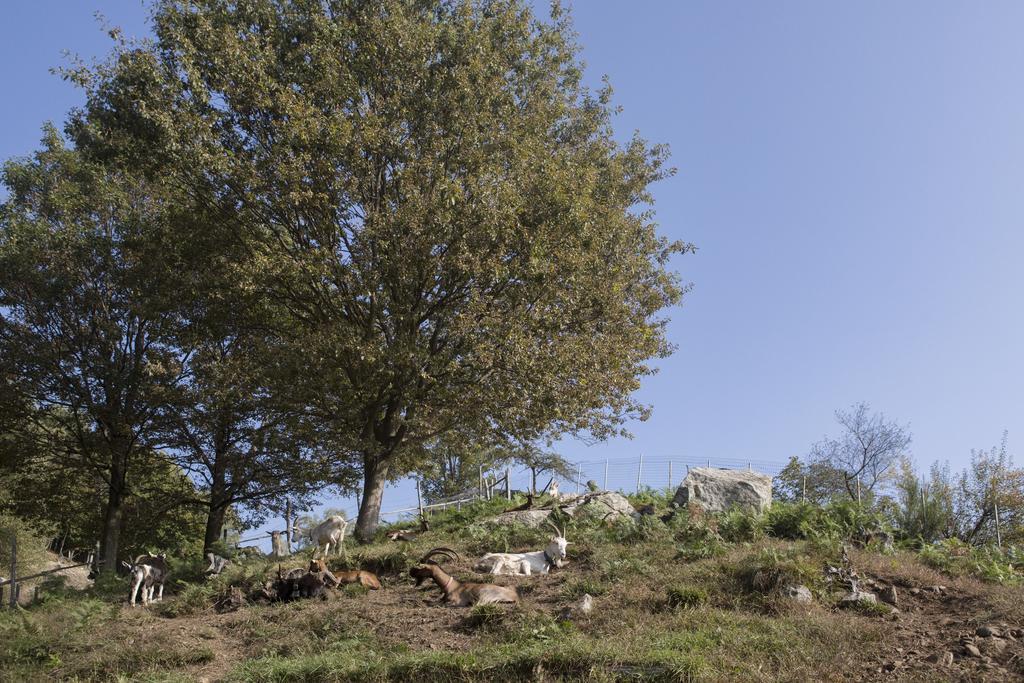 Agriturismo Da Attilio Cannobio Luaran gambar